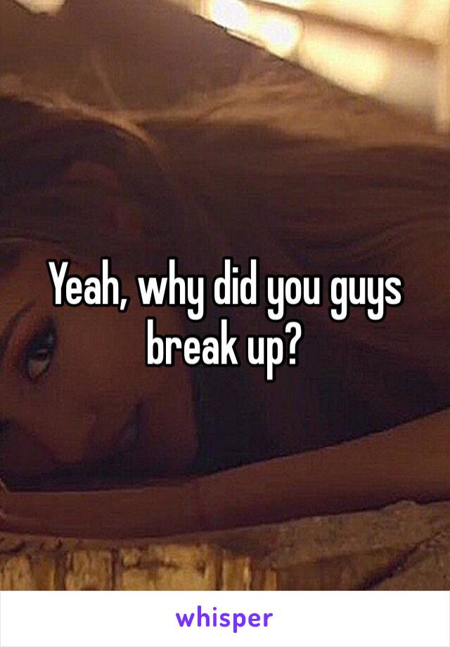 Yeah, why did you guys break up?