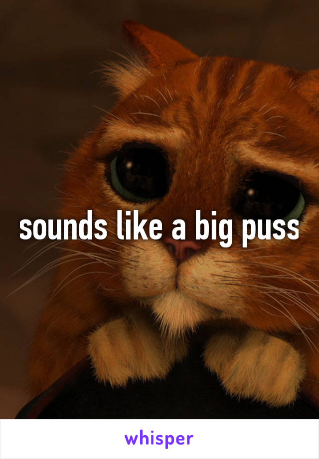 sounds like a big puss