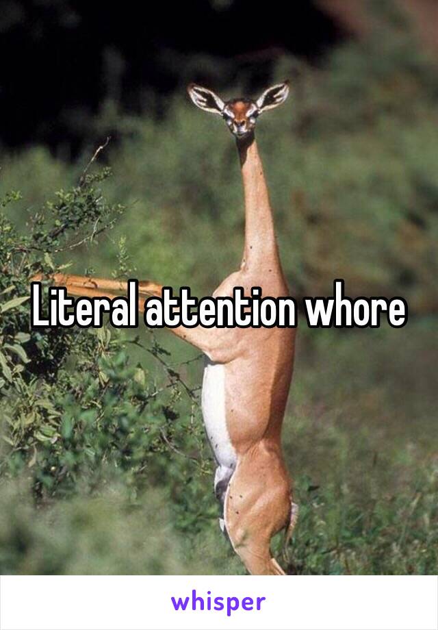 Literal attention whore