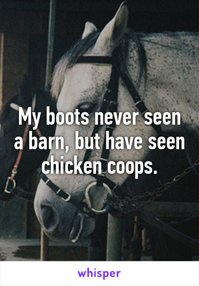 My boots never seen a barn, but have seen chicken coops.