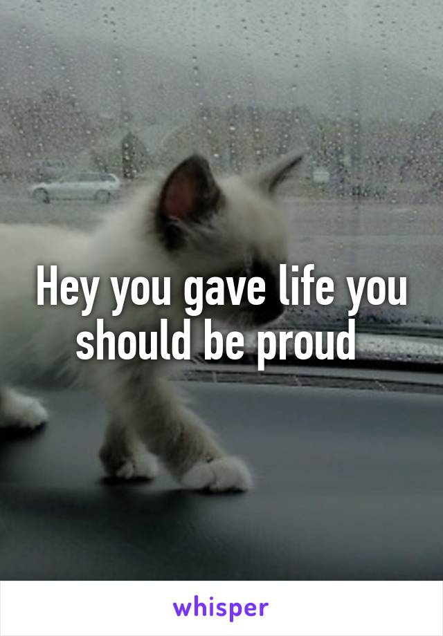 Hey you gave life you should be proud 