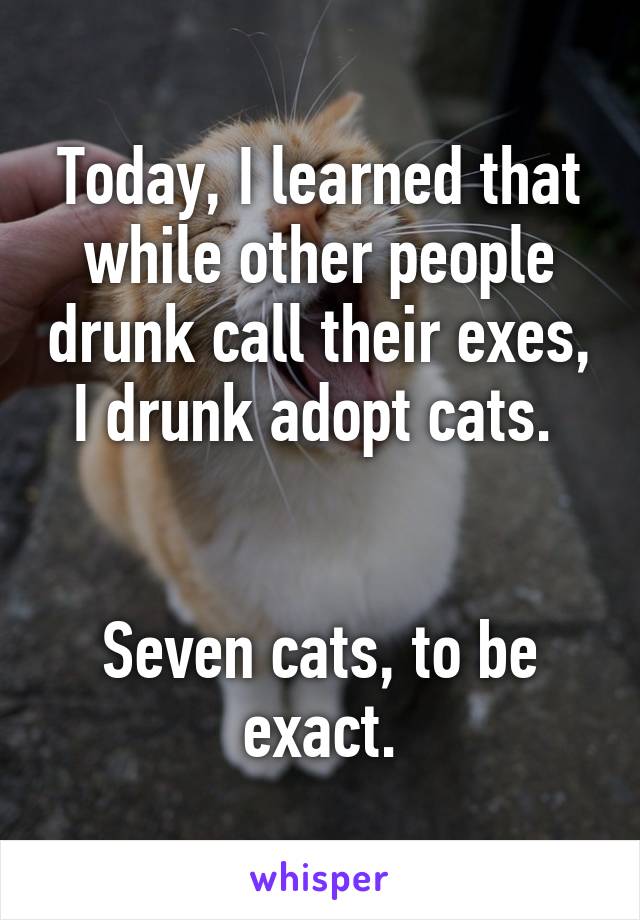 Today, I learned that while other people drunk call their exes, I drunk adopt cats. 


Seven cats, to be exact.