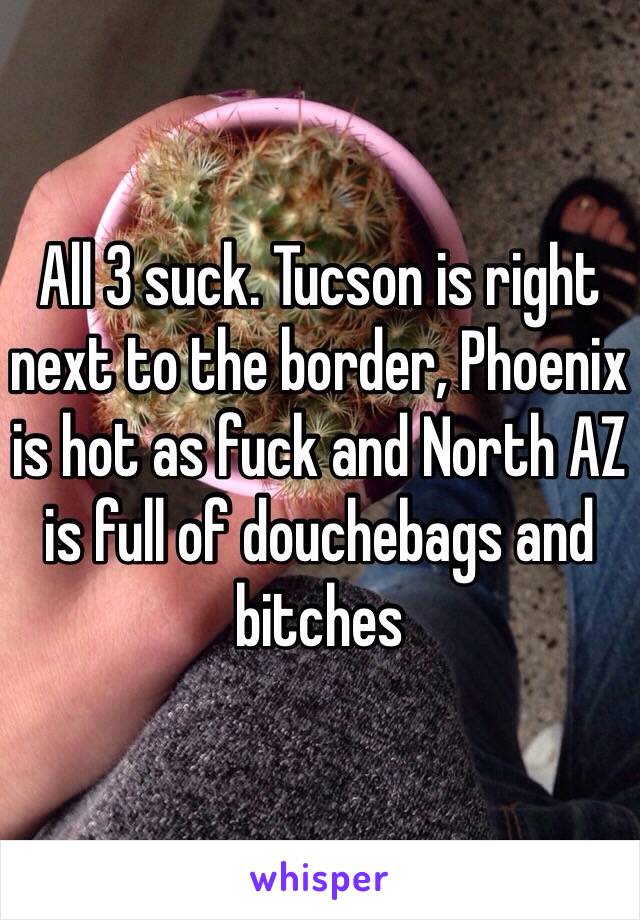 All 3 suck. Tucson is right next to the border, Phoenix is hot as fuck and North AZ is full of douchebags and bitches 