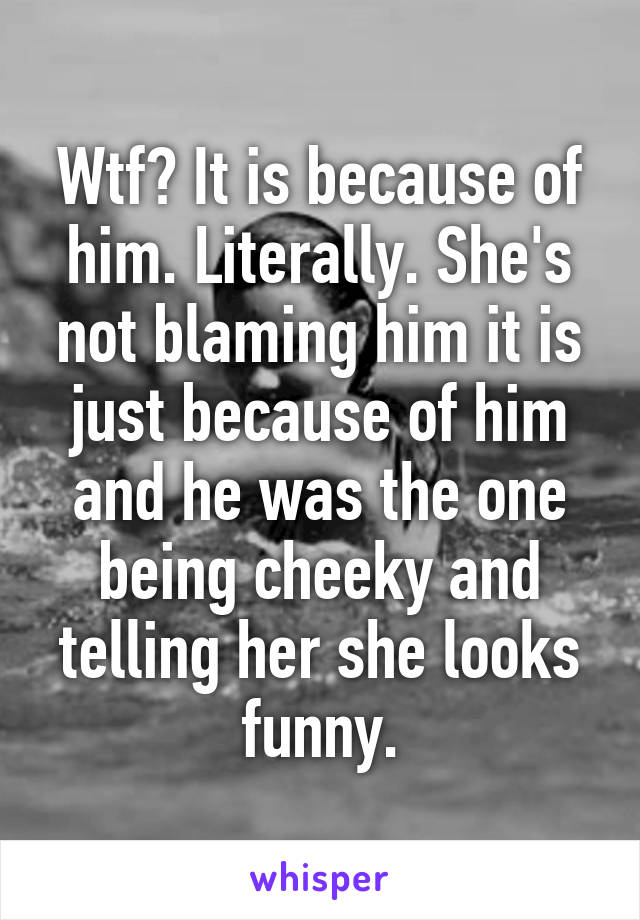 Wtf? It is because of him. Literally. She's not blaming him it is just because of him and he was the one being cheeky and telling her she looks funny.