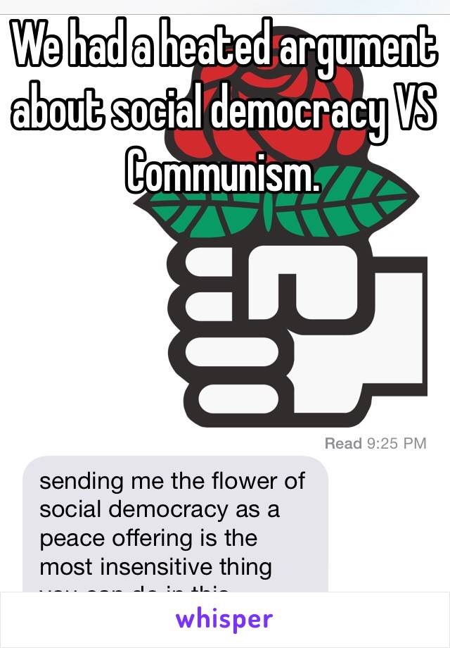 We had a heated argument about social democracy VS Communism. 