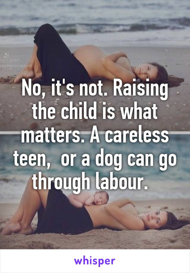 No, it's not. Raising the child is what matters. A careless teen,  or a dog can go through labour.  