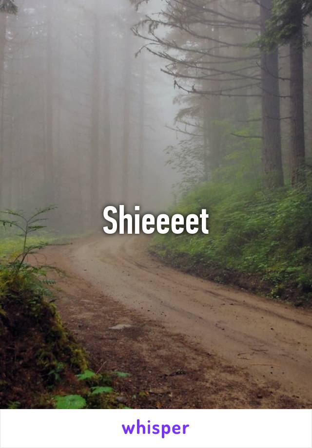 Shieeeet
