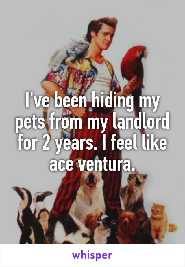 I've been hiding my pets from my landlord for 2 years. I feel like ace ventura.