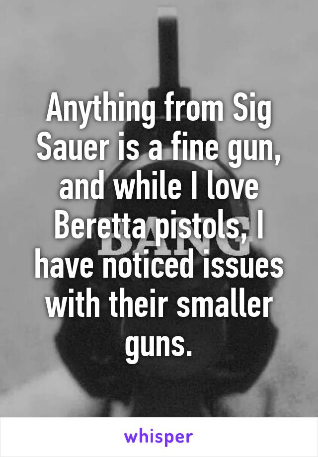 Anything from Sig Sauer is a fine gun, and while I love Beretta pistols, I have noticed issues with their smaller guns.