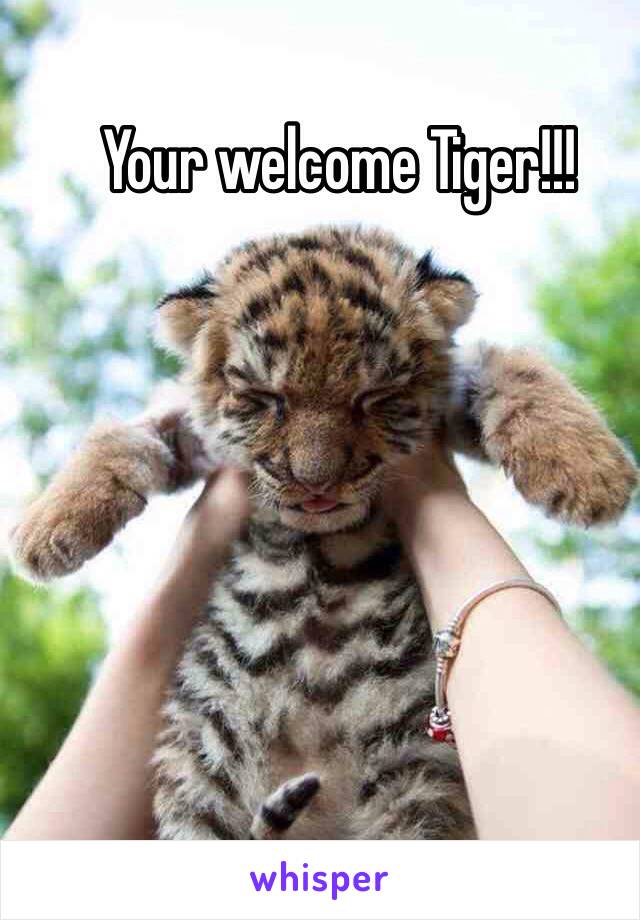 Your welcome Tiger!!!