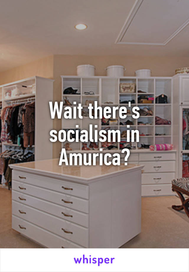 Wait there's socialism in Amurica?