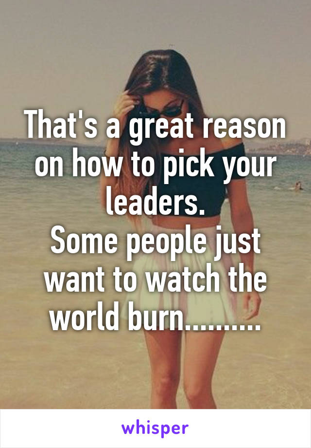 That's a great reason on how to pick your leaders.
Some people just want to watch the world burn..........
