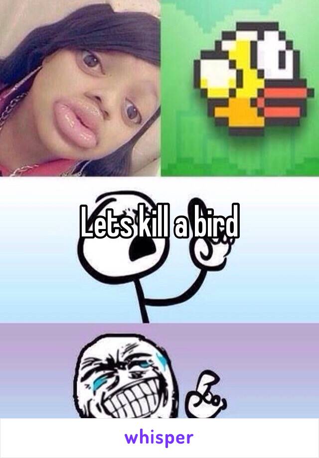 Lets kill a bird