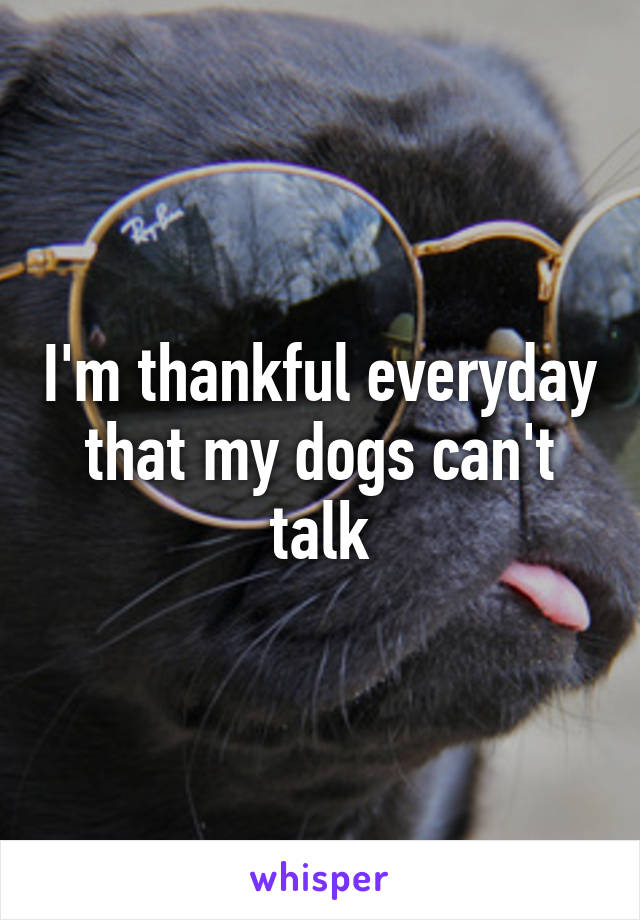 I'm thankful everyday that my dogs can't talk