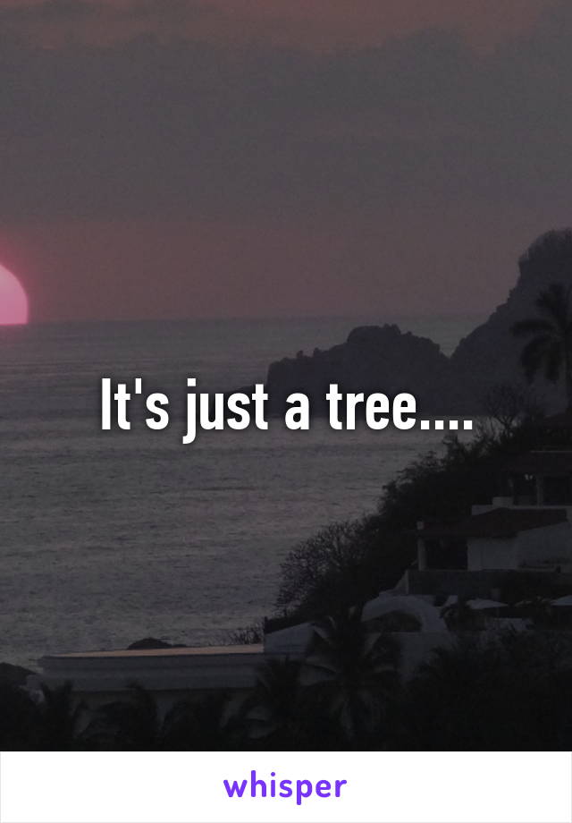 It's just a tree....