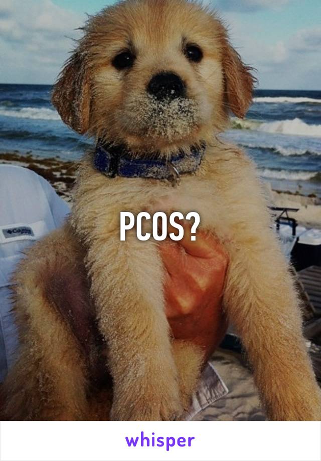 PCOS?