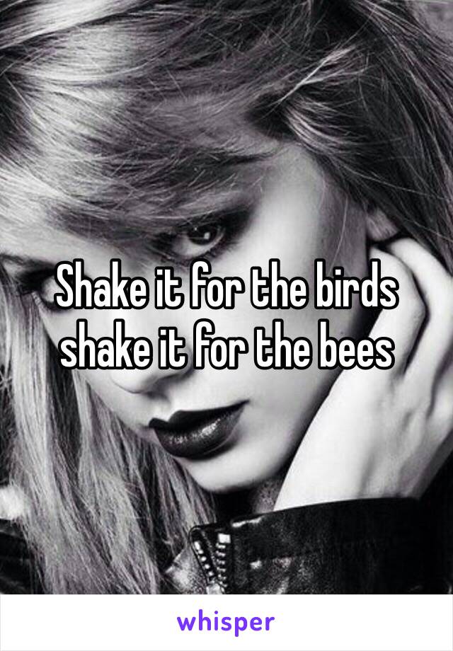 Shake it for the birds shake it for the bees 