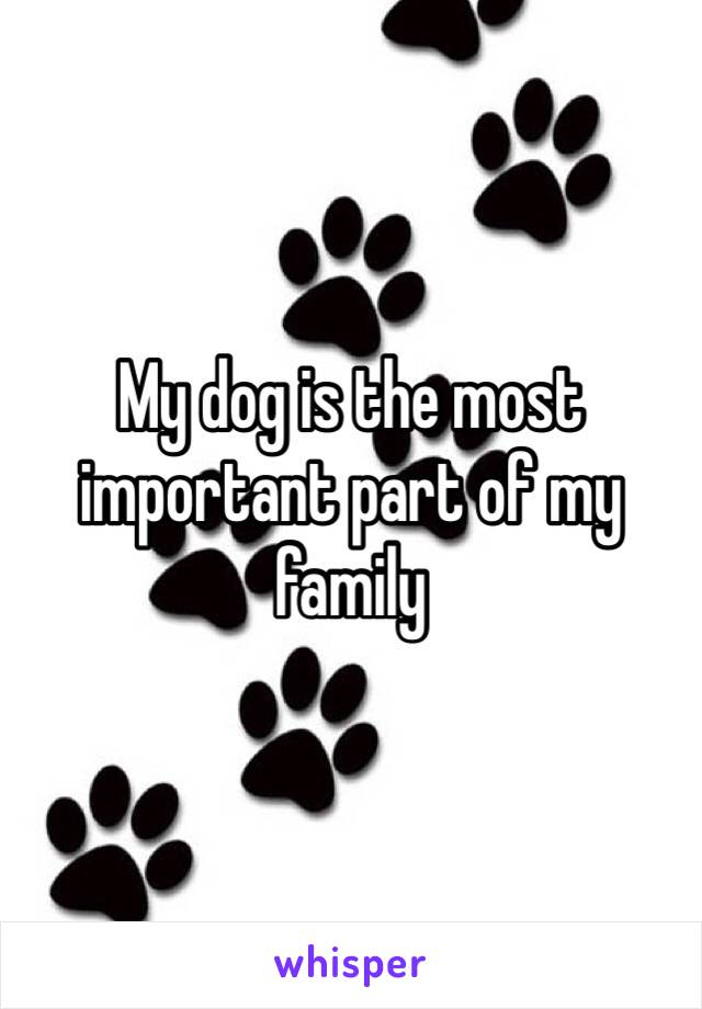 My dog is the most important part of my family