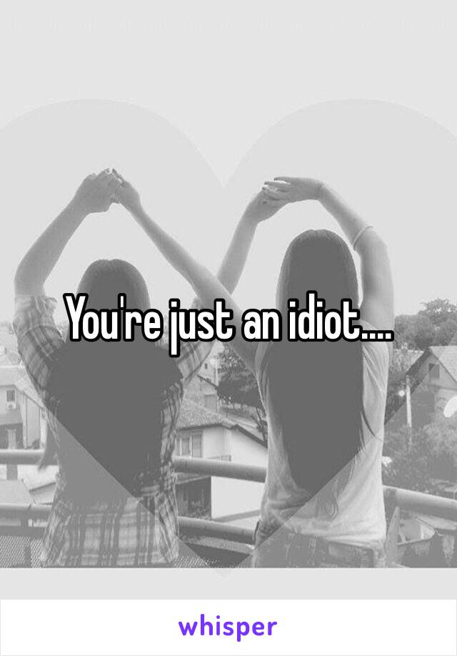 You're just an idiot....