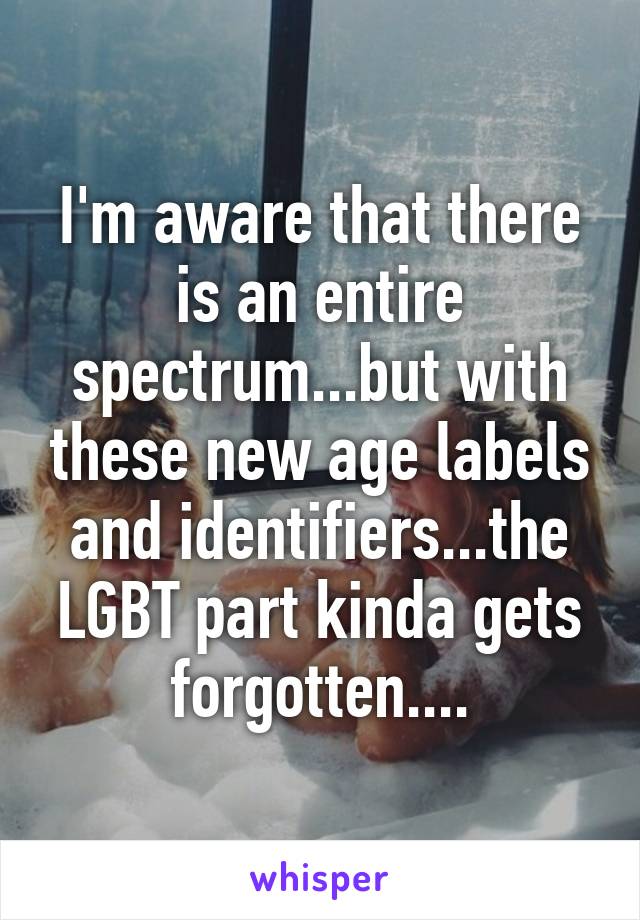 I'm aware that there is an entire spectrum...but with these new age labels and identifiers...the LGBT part kinda gets forgotten....