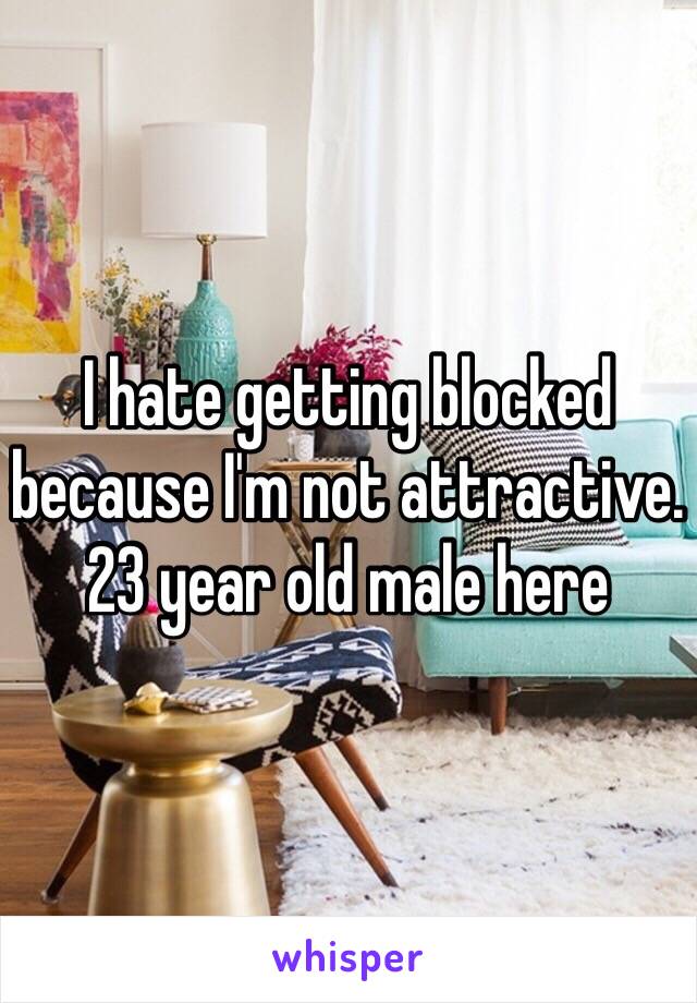 I hate getting blocked because I'm not attractive. 23 year old male here 