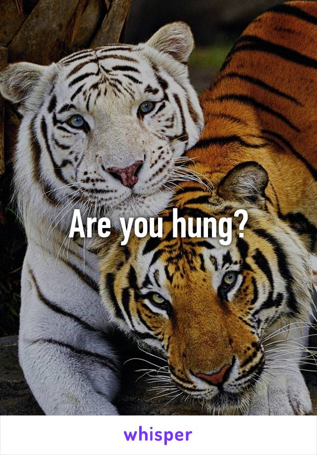 Are you hung?