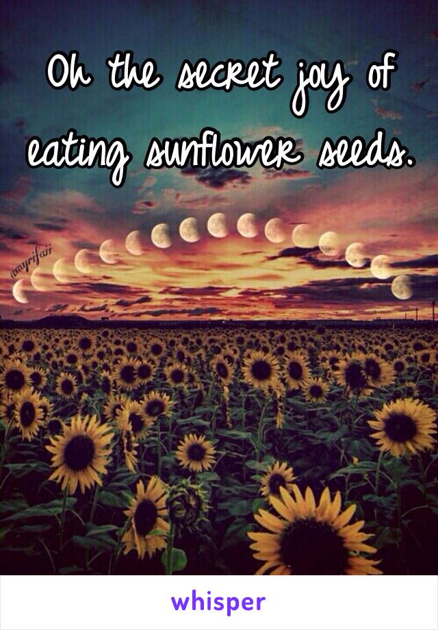 Oh the secret joy of eating sunflower seeds. 