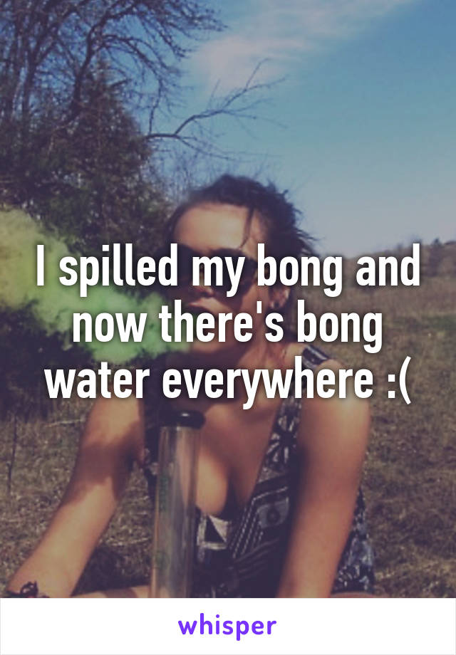 I spilled my bong and now there's bong water everywhere :(