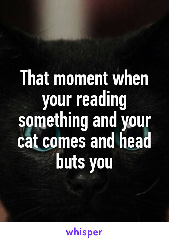 That moment when your reading something and your cat comes and head buts you