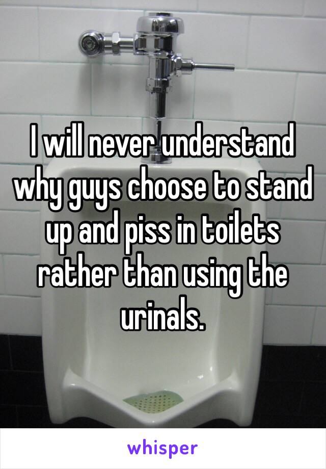 I will never understand why guys choose to stand up and piss in toilets rather than using the urinals. 