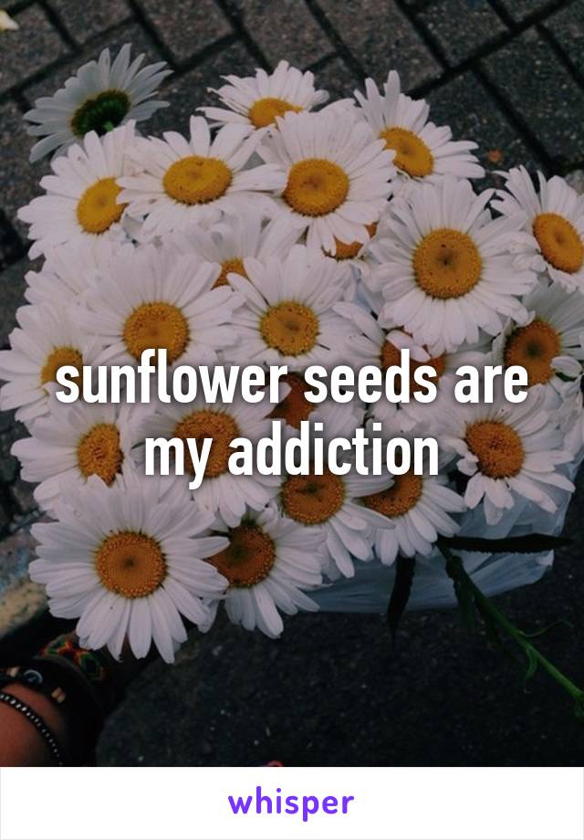 sunflower seeds are my addiction