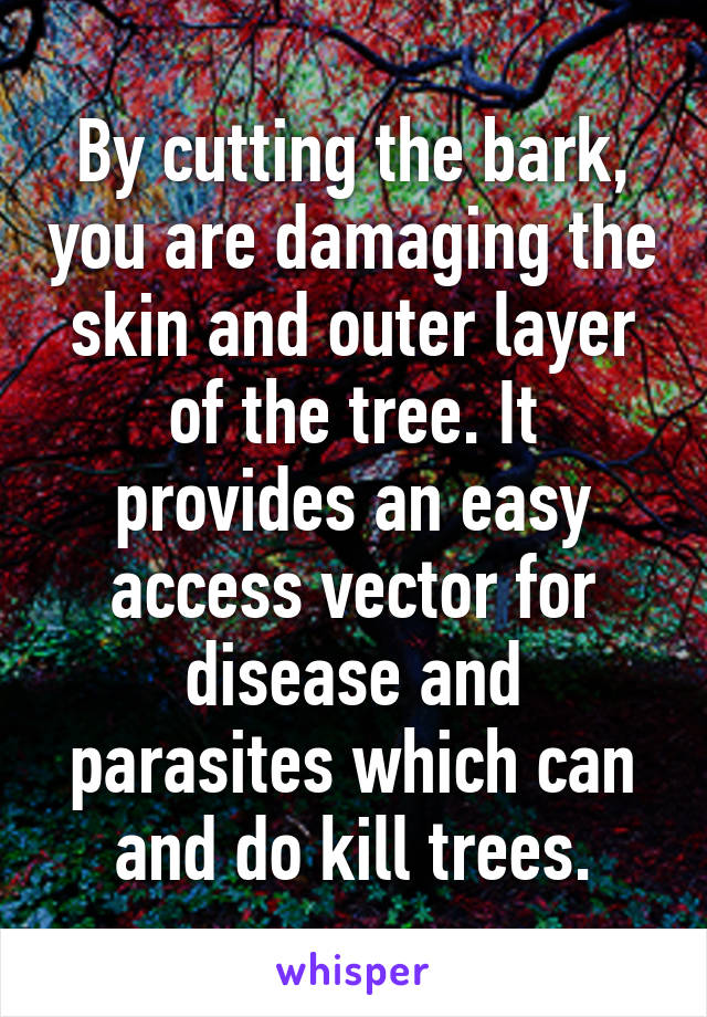 By cutting the bark, you are damaging the skin and outer layer of the tree. It provides an easy access vector for disease and parasites which can and do kill trees.