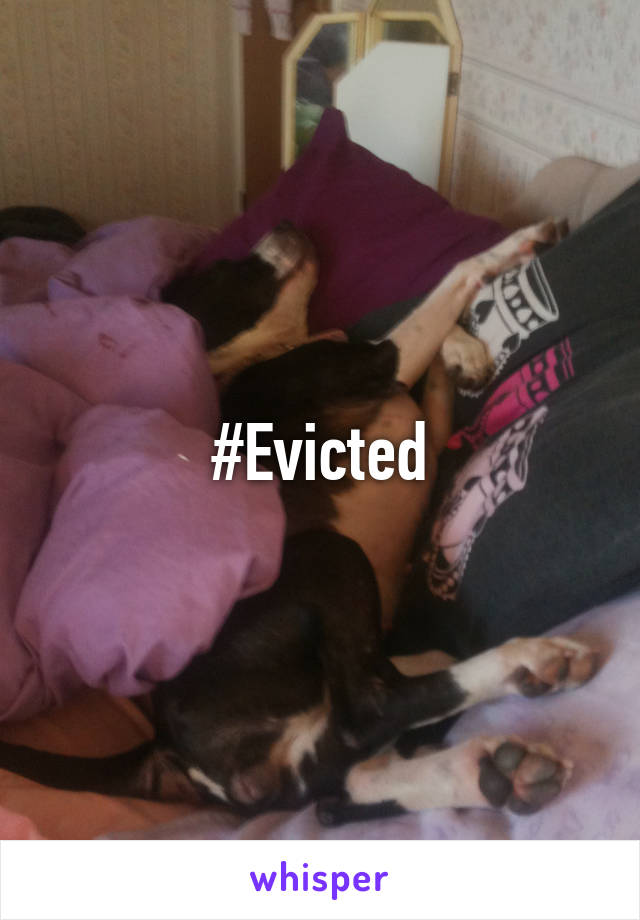 #Evicted