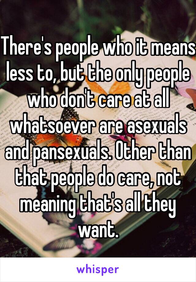 There's people who it means less to, but the only people who don't care at all whatsoever are asexuals and pansexuals. Other than that people do care, not meaning that's all they want.