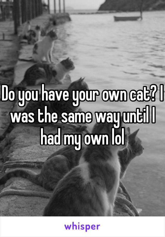 Do you have your own cat? I was the same way until I had my own lol 