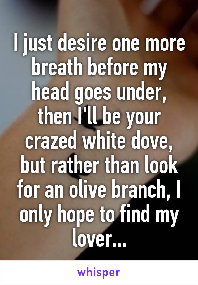 I just desire one more breath before my head goes under, then I'll be your crazed white dove, but rather than look for an olive branch, I only hope to find my lover...