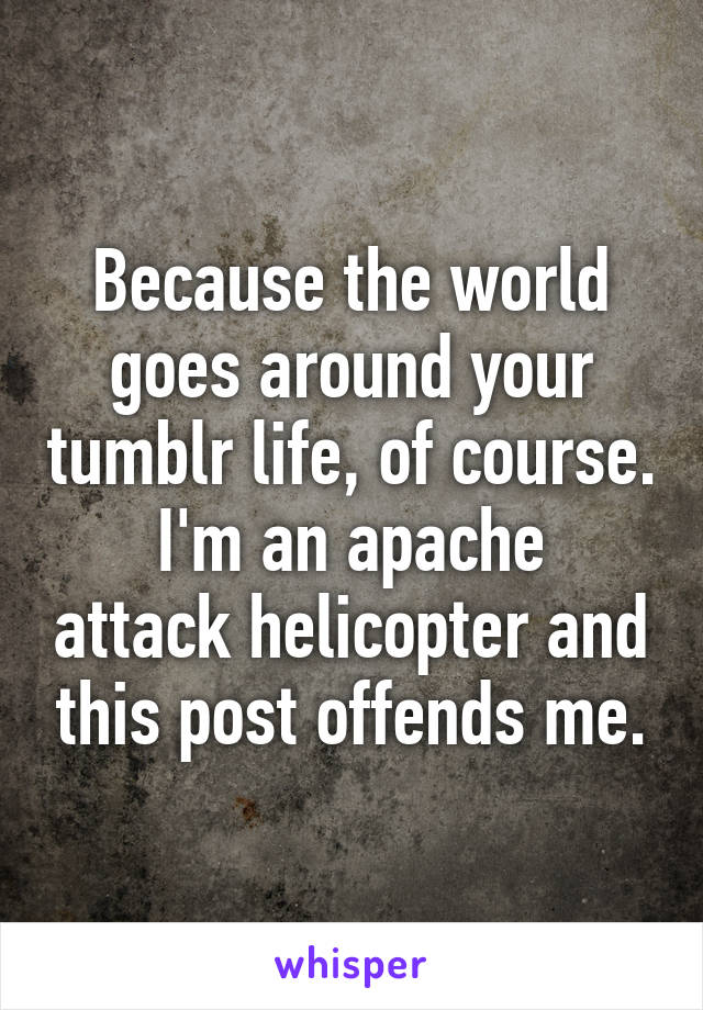 Because the world goes around your tumblr life, of course.
I'm an apache attack helicopter and this post offends me.