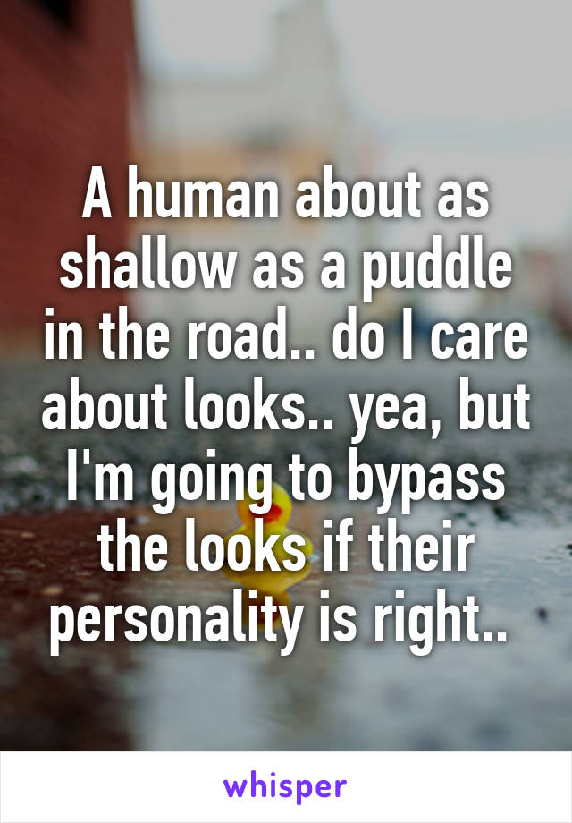 A human about as shallow as a puddle in the road.. do I care about looks.. yea, but I'm going to bypass the looks if their personality is right.. 