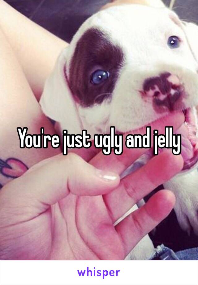 You're just ugly and jelly