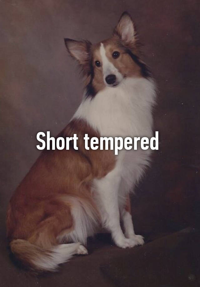 short-tempered