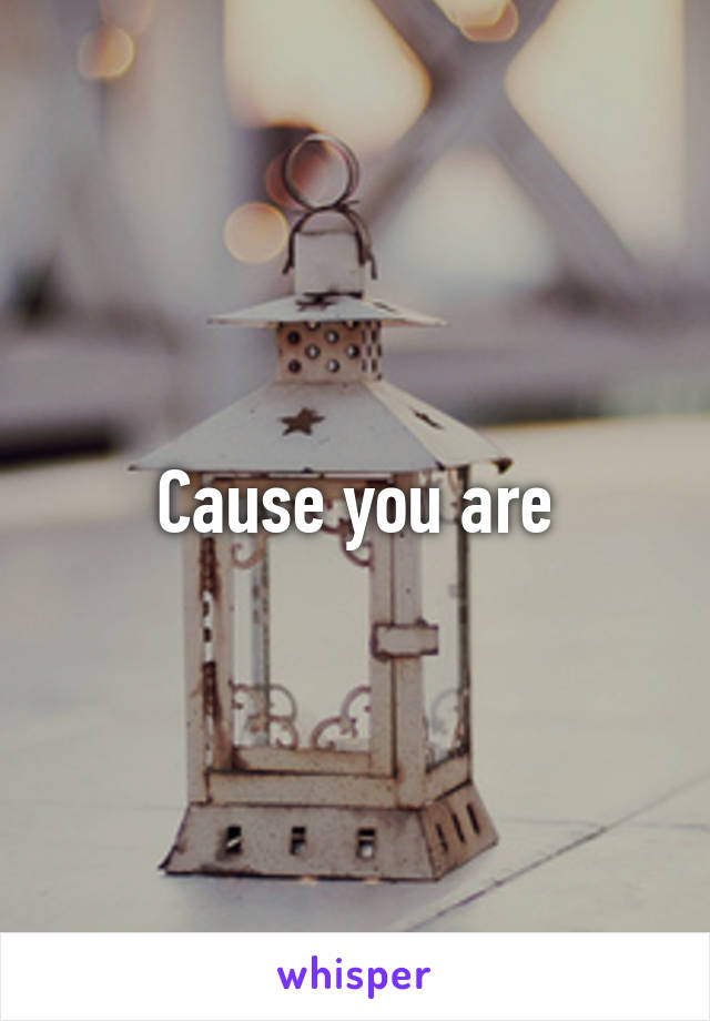 Cause you are