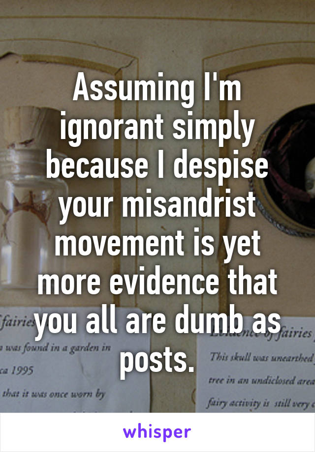 Assuming I'm ignorant simply because I despise your misandrist movement is yet more evidence that you all are dumb as posts.