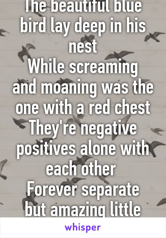 The beautiful blue bird lay deep in his nest
While screaming and moaning was the one with a red chest
They're negative positives alone with each other 
Forever separate but amazing little lovers