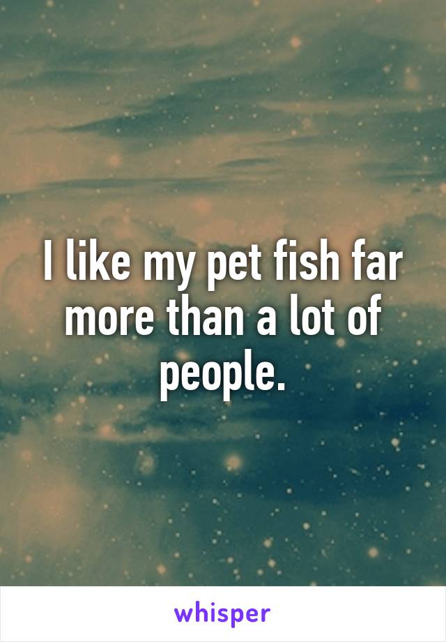 I like my pet fish far more than a lot of people.