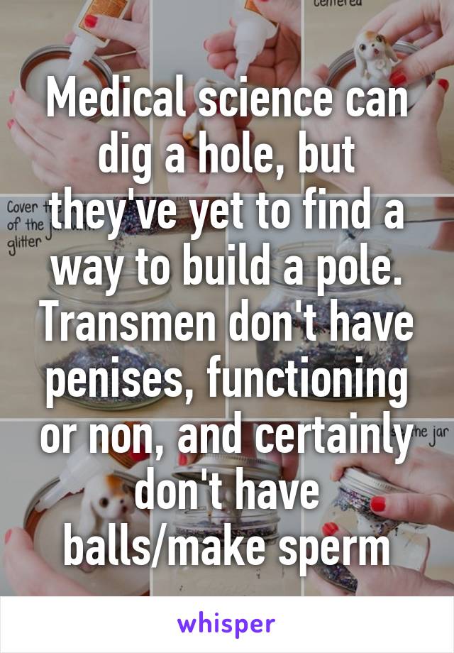 Medical science can dig a hole, but they've yet to find a way to build a pole. Transmen don't have penises, functioning or non, and certainly don't have balls/make sperm
