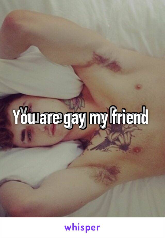 You are gay my friend 