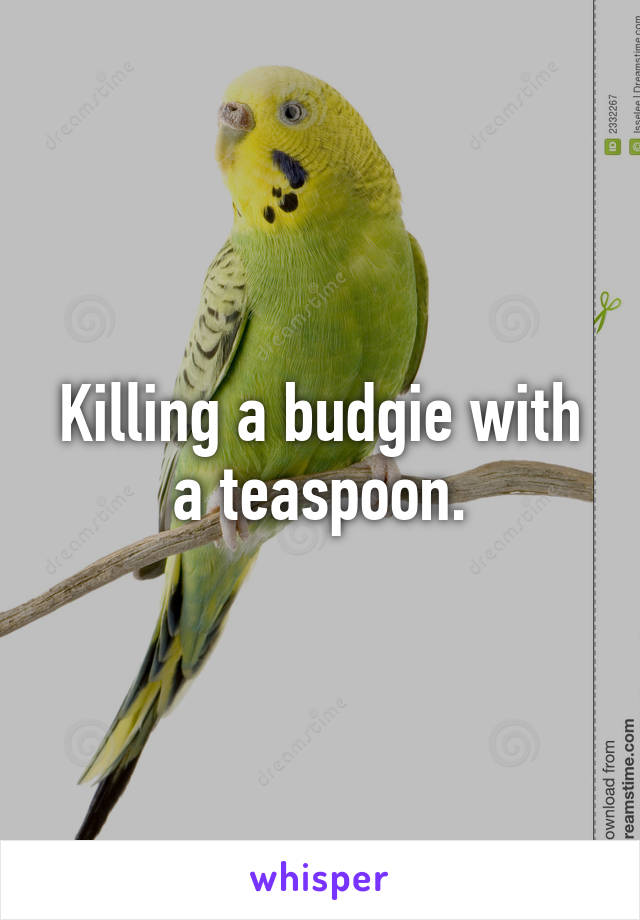 Killing a budgie with a teaspoon.