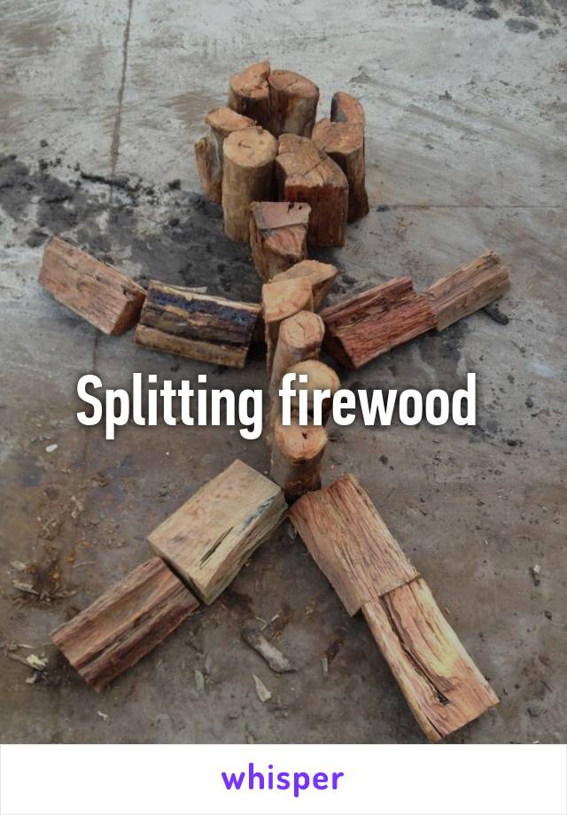 Splitting firewood 