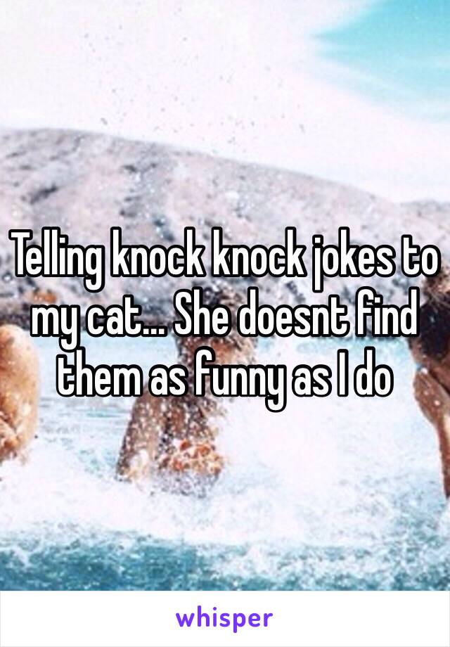 Telling knock knock jokes to my cat... She doesnt find them as funny as I do