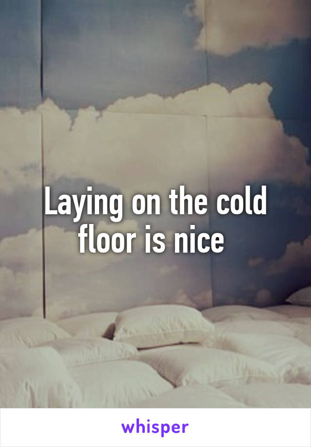 Laying on the cold floor is nice 